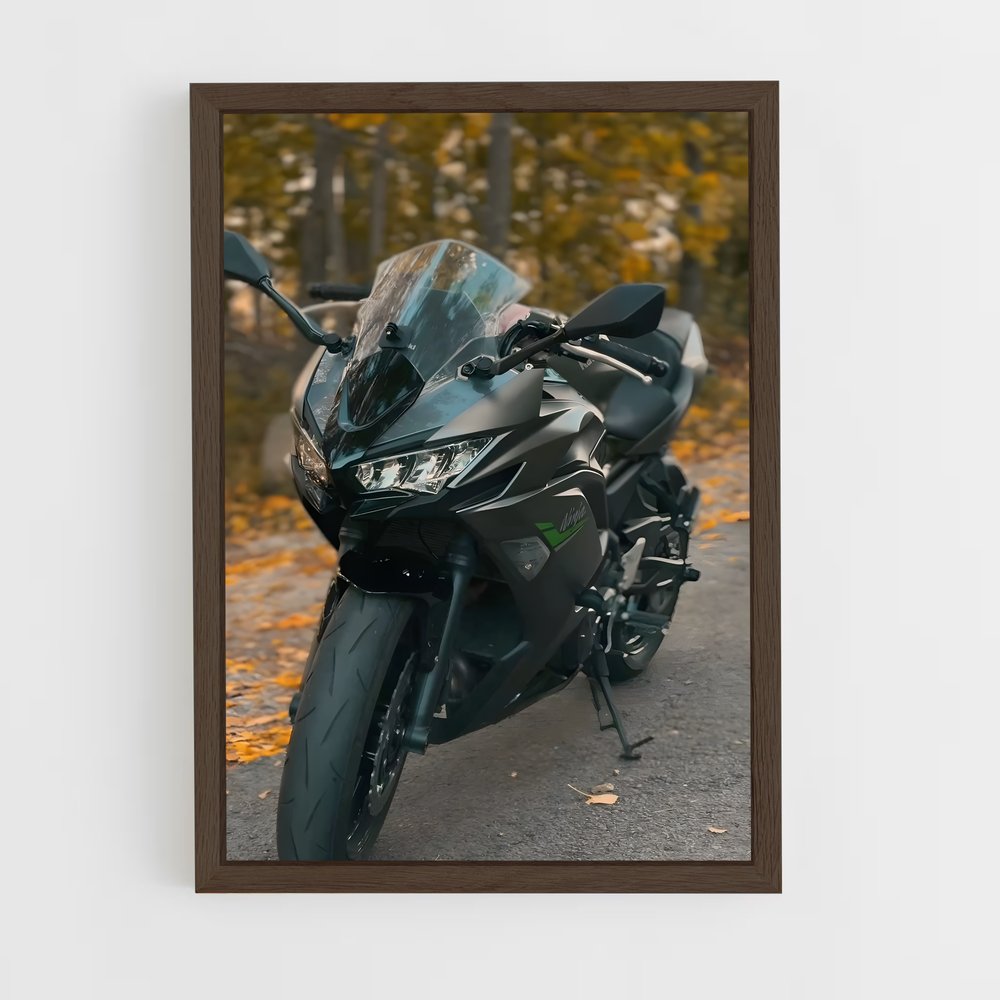 Poster Ninja Incroyable (vue 5)